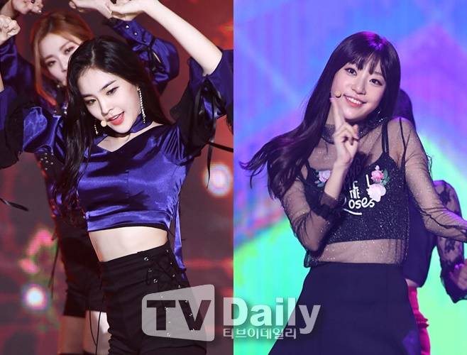 소나무 나현 수민