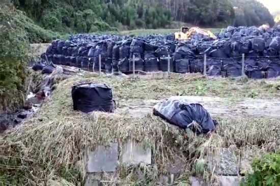 방사능 폐기물 자루가 유실된 현장을 촬영한 영상. 미우라 히데유키 기자 트위터 캡처