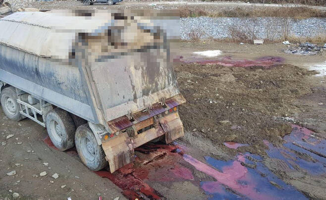 덤프트럭 적재함에서 떨어진 돼지 피. 돼지가 부풀어 올라 피가 나오고 있다. 전광준 기자