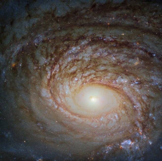 사진=NASA / ESA / Hubble / A. Seth et al.
