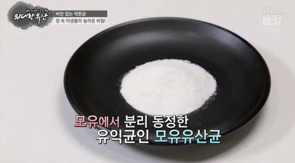 사진=TV조선 '백세시대 프로젝트 위대한 유산' 방송화면 캡처