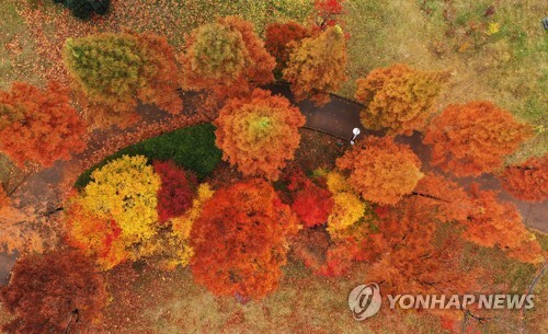 낙엽과 함께 저무는 가을 [연합뉴스 자료사진]