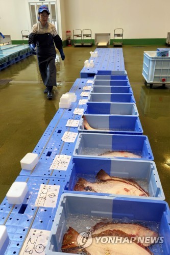 일본 후쿠시마현의 한 수산물 시장 [AFP=연합뉴스]