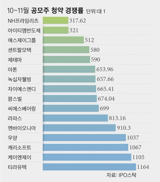 10~11월 공모주 청약 경쟁률. 그래픽=차준홍 기자 cha.junhong@joongang.co.kr
