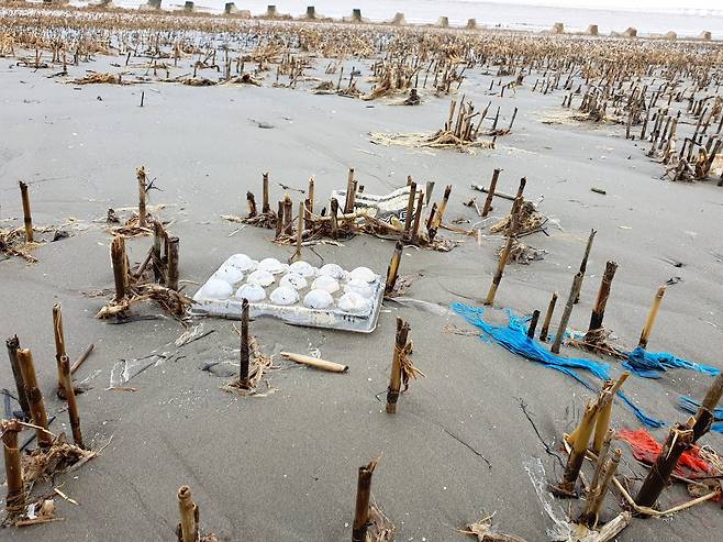 지난달 25일 중국 상하이 양쯔강 하구 난후이 지역 강변에 밀려든 쓰레기들. 진창일 기자