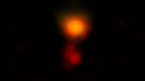ALMA로 포착한 맘보-9 은하 이미지 [ALMA (ESO/NAOJ/NRAO), C. 케이시 등; NRAO/AUI/NSF, B. 삭스턴 제공]