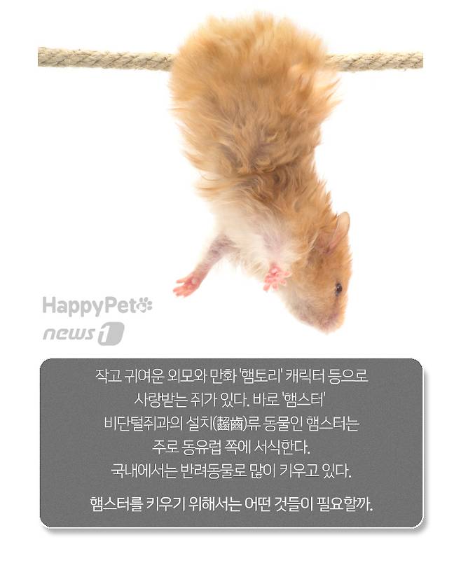 © News1