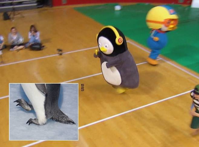 펭수는 ′EBS 아이돌 육상대회(아육대)′ 에서 계주 경기의 마지막 주자로 나서 달리기 실력을 뽐냈다. 실제로 펭귄은 날카로운 발톱으로 얼음을 찍으면서 달린다(작은 사각형). EBS 제공