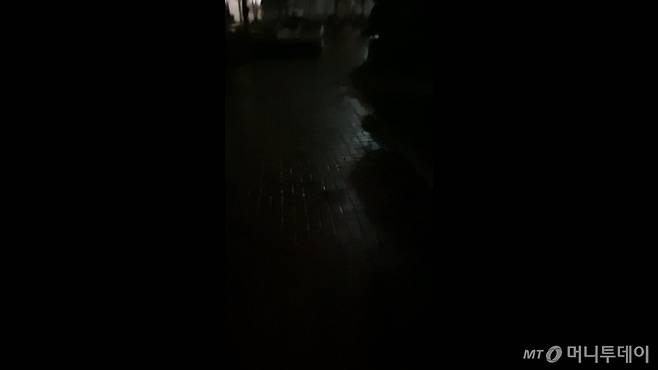 춥고 깜깜한 겨울 아침, 매일 집을 나서서 회사로 간다. 이것도 그래, 대견한 거라고, 스스로를 좋은 맘으로 위안해봤다./사진=남형도 기자