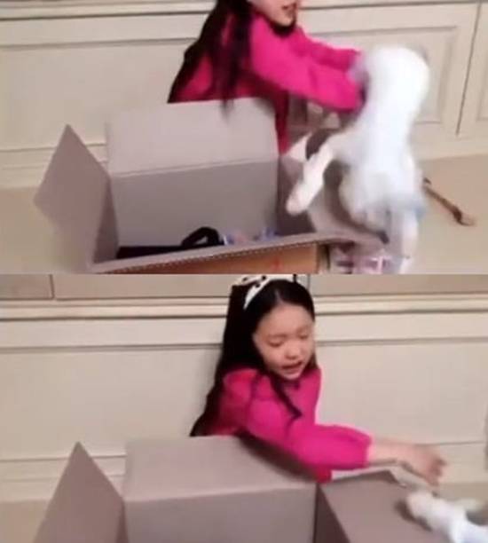 아역배우 구사랑이 고양이를 거칠게 다루는 모습이 담긴 영상이 공개되자 고양이 학대 논란이 일었다. /구사랑 SNS 캡처