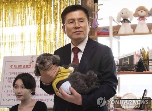 강아지 안은 황교안 대표 (서울=연합뉴스) 윤동진 기자 = 자유한국당 황교안 대표가 21일 오후 서울 마포구 반려견 동반카페 마포다방에서 열린 ''2020 희망공약개발단 반려동물 공약' 발표에서 강아지를 안고 있다. mon@yna.co.kr