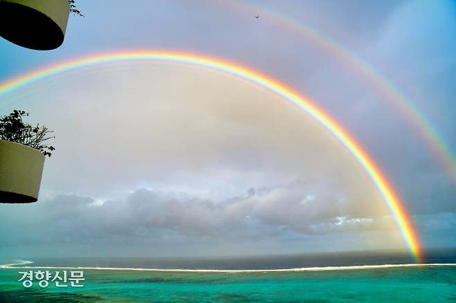 김정근 선임기자