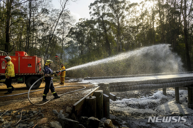 [ 모루야(호주)= AP/뉴시스] 산불이 확산된 호주 사우스웨일스주의 모루야 지역에서 소방대원들이 숲속의 목조 교량에 방화용 거품을 분사,  불에 타지 않도록 코팅을 하고 있다.