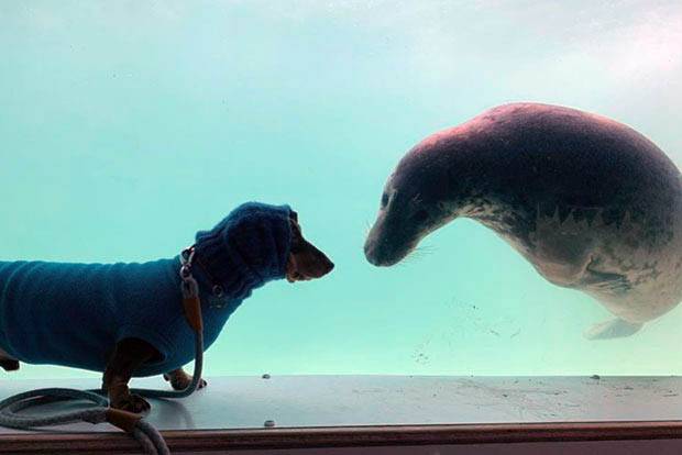 사진=멜라니 탤벗 인스타그램