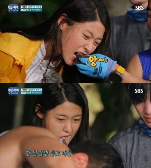 ▲ 황교익이 설현의 박쥐 '먹방'을 언급했다. '정글의 법칙' 방송화면 캡처