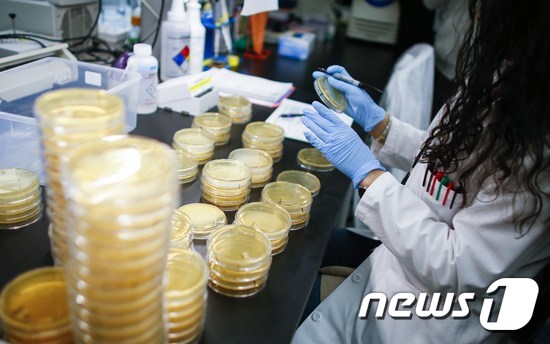 미국 연구소에서 한 연구원이 코로나19 검진 키트를 개발하고 있다. © AFP=뉴스1