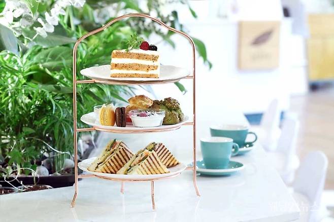 사진 : 글래드 라이브 강남