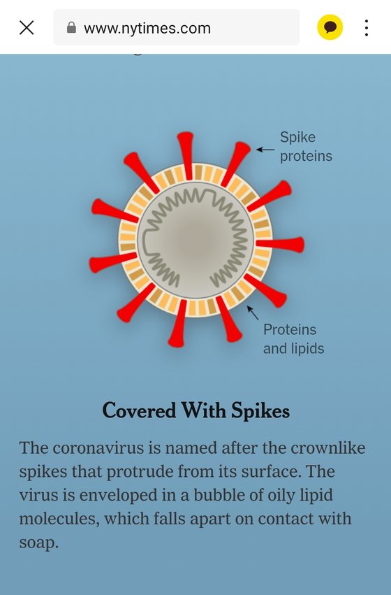 신종 코로나바이러스 감염증(코로나19)을 유발하는 바이러스는 이렇게 생겼다. [뉴욕타임스 캡처]