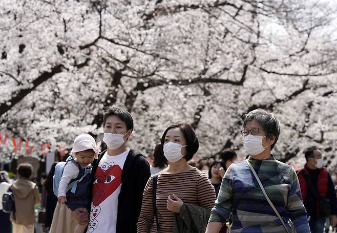 일본 도쿄 우에노공원에 지난 22일 벚꽃이 만개하자 신종 코로나바이러스 감염증(코로나19) 확산 우려에도 불구하고 많은 시민들이 찾아와 마스크를 쓰고 구경하고 있다. [연합]