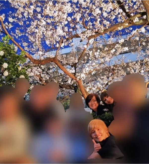 아베 신조 일본 총리의 부인인 아키에(맨 위 왼쪽) 여사가 연예인들과 함께 벚꽃을 배경으로 찍은 사진. /뉴스포스트세븐 홈페이지