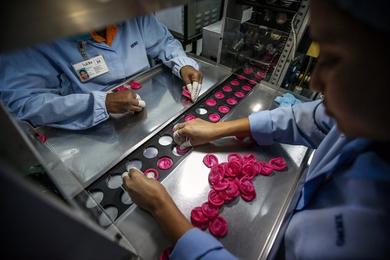 말레이시아의 세계 최대 콘돔업체 카렉스. EPA=연합뉴스