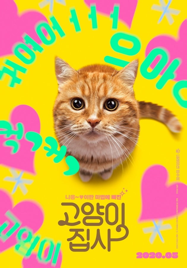 임수정 내레이션 '고양이 집사', 5월 개봉 확정..깜찍 티저 포스터