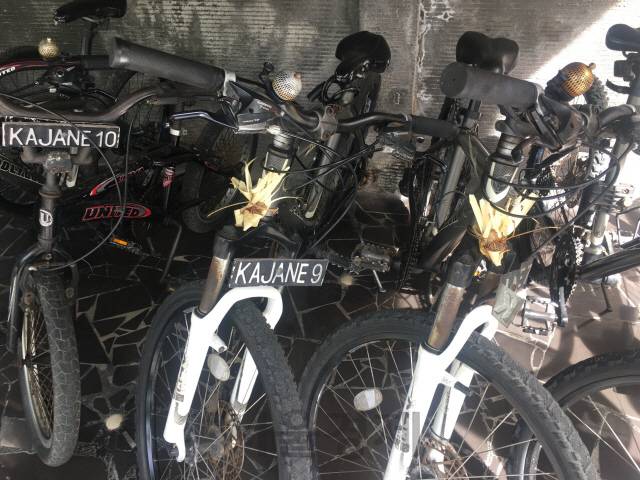 자전거도 안전 기원!