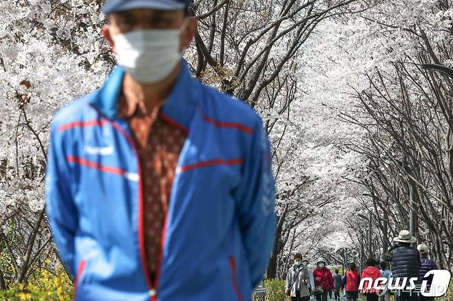 완연한 봄날씨를 보인 지난달 30일 오전 서울 강남구 도곡동에서 마스크 등으로 중무장한 시민들이 벚꽃길 산책을 하고 있다. /사진=뉴스1