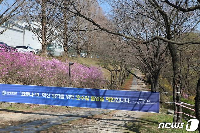 신종 코로나바이러스 감염증(코로나19) 확산방지를 위한 사회적 거리두기가 강조되고 있는 3일 강원 원주시 벚꽃명소인 연세대학교 미래캠퍼스 벚꽃길인 '키스로드'의 출입이 통제되고 있다. 미래캠퍼스는 이같은 조치와 함께 코로나19 상황 종식때까지 외부차량 출입도 통제하고 있다.2020.4.3/뉴스1 © News1 권혜민 기자
