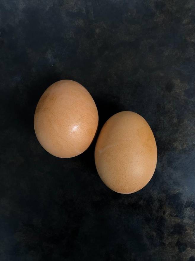 제리 다이어트 도시락