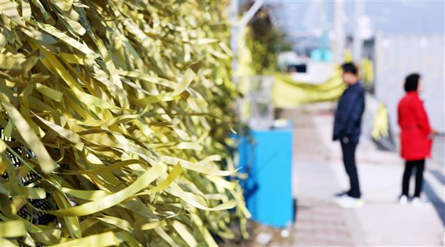 나부끼는 노란리본 - 9일 전남 목포신항만 세월호 앞으로 추모행렬이 이어지고 있다. 2019.11.9 뉴스1