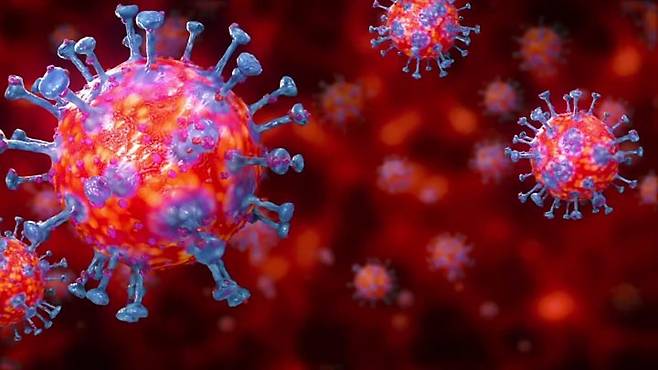 IBS-질본, 코로나바이러스 유전자지도 완성 - 기초과학연구원(IBS)와 질병관리본부 공동연구팀이 코로나바이러스와 관련한 완벽한 유전자지도를 완성해 발표했다.미국 질병예방통제센터(CDC) 제공