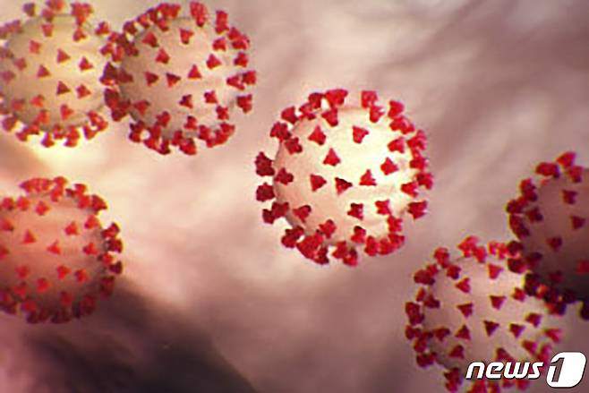 코로나19 바이러스는 바이러스 표면에 돌기처럼 생긴 '스파이크 단백질'을 통해 인체 세포의 수용체와 결합해 숙주 세포에 침입한다. (Photo by Handout / CDC / AFP)
