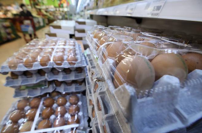 서울 시내 한 대형마트 신선식품 코너에 달걀 제품들이 진열돼 있다. 연합뉴스 제공