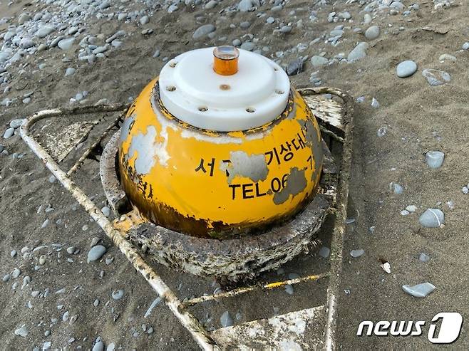 발견 당시 서귀포 파고부이 사진(기상청 제공). © 뉴스1