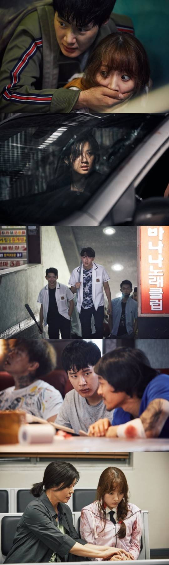 iMBC 연예뉴스 사진