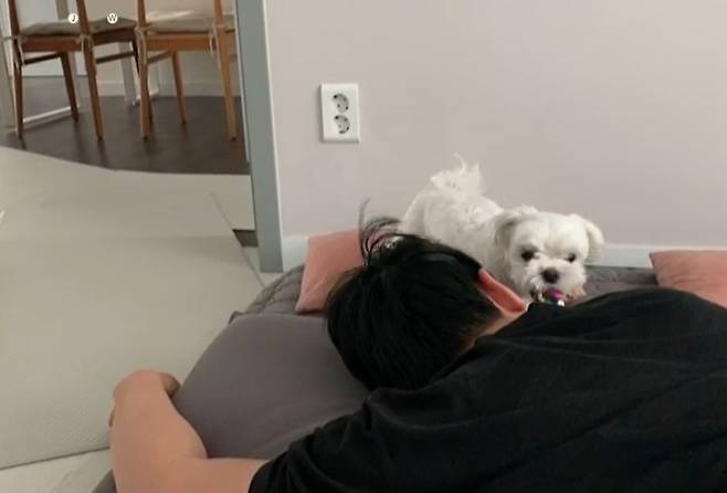 일어난 것 다 알아, 형아. 딸랑이 빨리 던져./사진=자는척하는 남형도 기자를 안쓰럽게 바라보는 아내