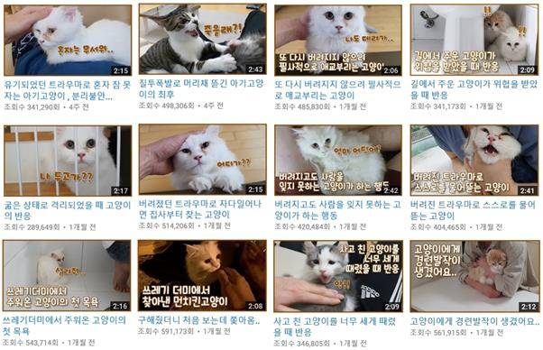 유튜브 채널 ‘갑수목장’의 유기동물 구조 관련 콘텐츠들. 유튜브 채널 ‘갑수목장’ 캡처