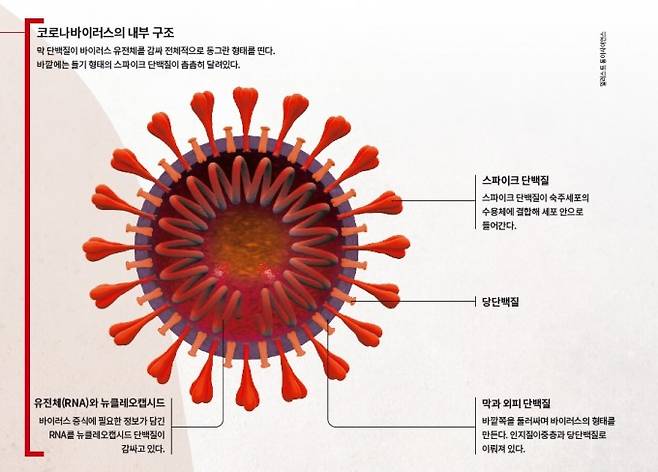 동아사이언스 DB