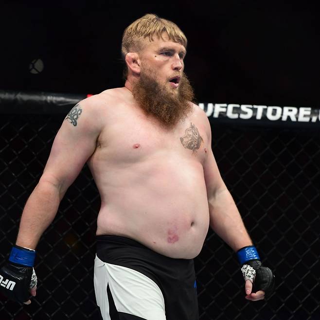 ▲ 알렉산더 구스타프손과 로이 넬슨의 합성사진. 구스타프손은 헤비급으로 돌아와 파브리시우 베우둠과 맞붙는다.