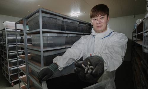 지난 4일 충북 옥천군 동이면 ‘여가벅스’ 굼벵이 농장에서 만난 여진혁 대표가 직접 사육하는 흰 굼벵이를 들어보이고 있다. 옥천=하상윤 기자