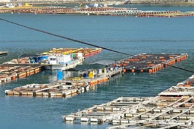 지적장애인 A씨가 일한 가두리 양식장. (사진=통영해경 제공)