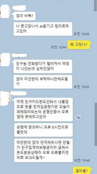 SNS 피싱 사기꾼과 피해자가 주고받은 대화 내용.