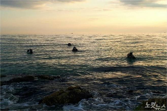 물질 중인 강원 동해안 해녀들(사진=유선희 기자)