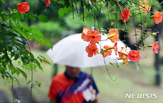 [인천=뉴시스] 이종철 기자 = 비가 내리는 27일 오전 인천 남동구에서 한 시민이 우산을 쓰고 빗방울을 머금은 꽃 옆을 걸어가고 있다. 2020.07.27. jc4321@newsis.com