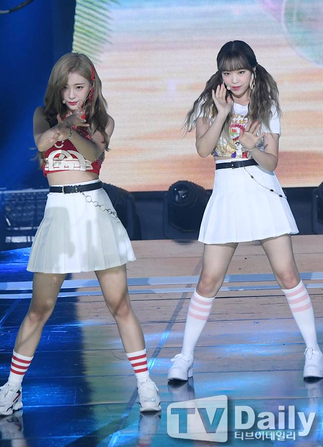 티브이데일리 포토