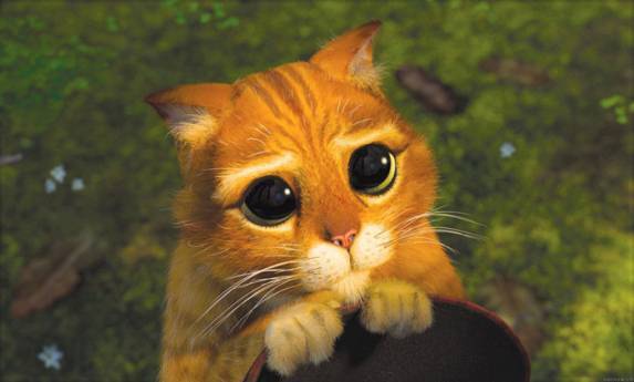 (꿀딴지곰님이 선량하게 이렇게 봐도 소용없었다고 한다..)