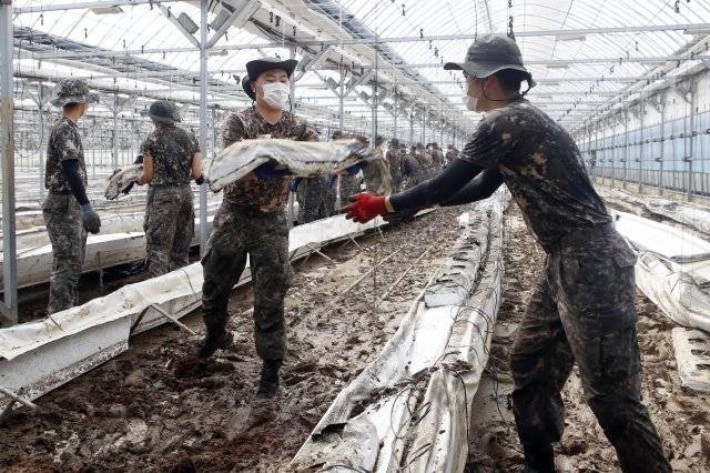 육군 55사단 장병들이 12일 경기도 안성시 일죽면에서 하우스 내부 토사 정리 등 수해복구 대민지원을 하고 있다.