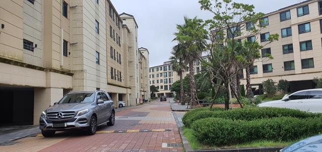 지난 6일 국제학교 방학을 맞아 한적한 제주 영어교육도시 내 고급 아파트 단지의 모습. 야자나무와 현무암 연석이 이곳이 제주임을 드러낸다. 제주=이성택 기자