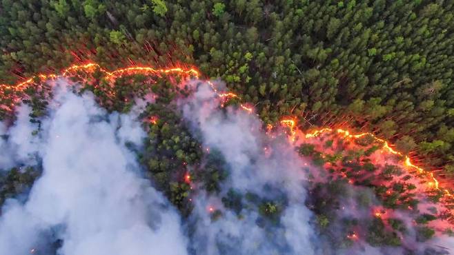 지난 7월 시베리아의 숲을 태우고 있는 산불의 모습이다. 그린피스에 따르면, 러시아에서는 한국의 두 배 가까이에 해당하는 1900만 헥타르가 올해 산불로 탔다. 그린피스 제공